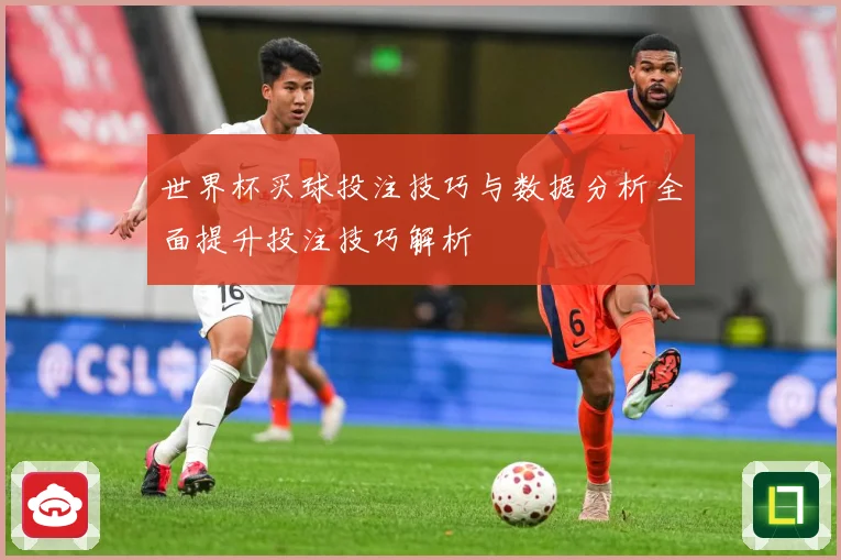 世界杯买球投注技巧与数据分析全面提升投注技巧解析