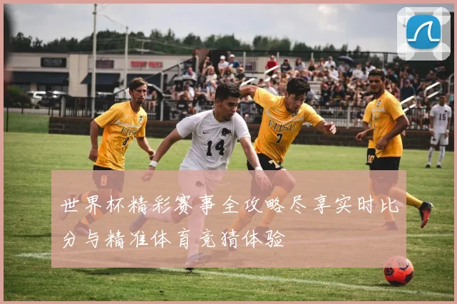 世界杯精彩赛事全攻略尽享实时比分与精准体育竞猜体验