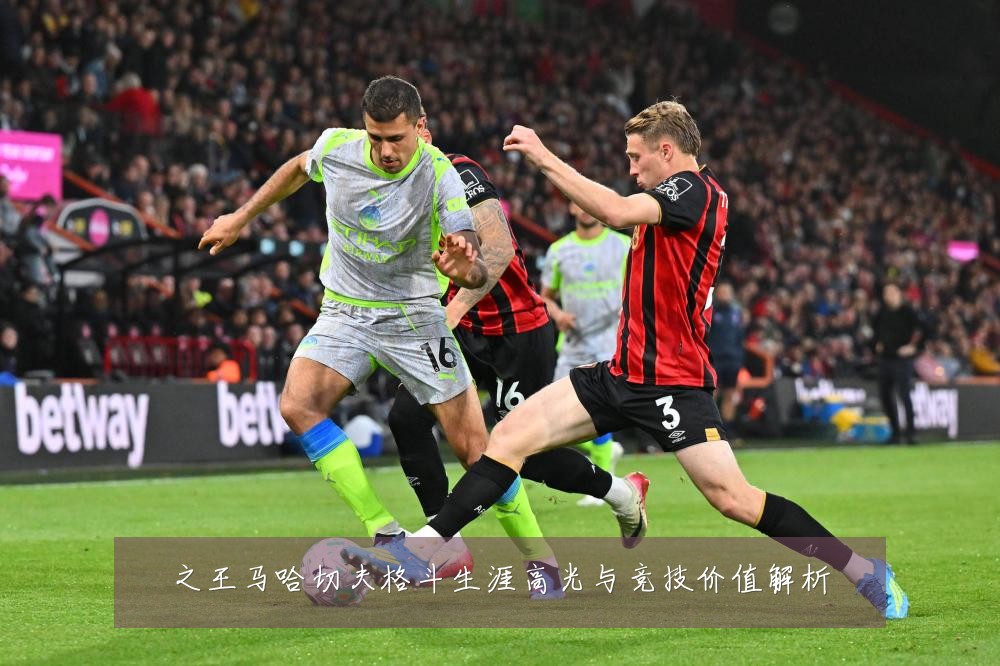 之王马哈切夫格斗生涯高光与竞技价值解析