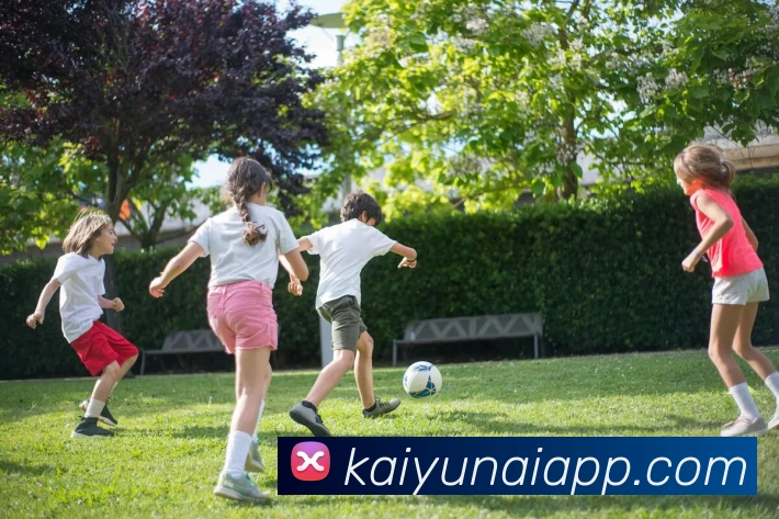 开云平台展示图